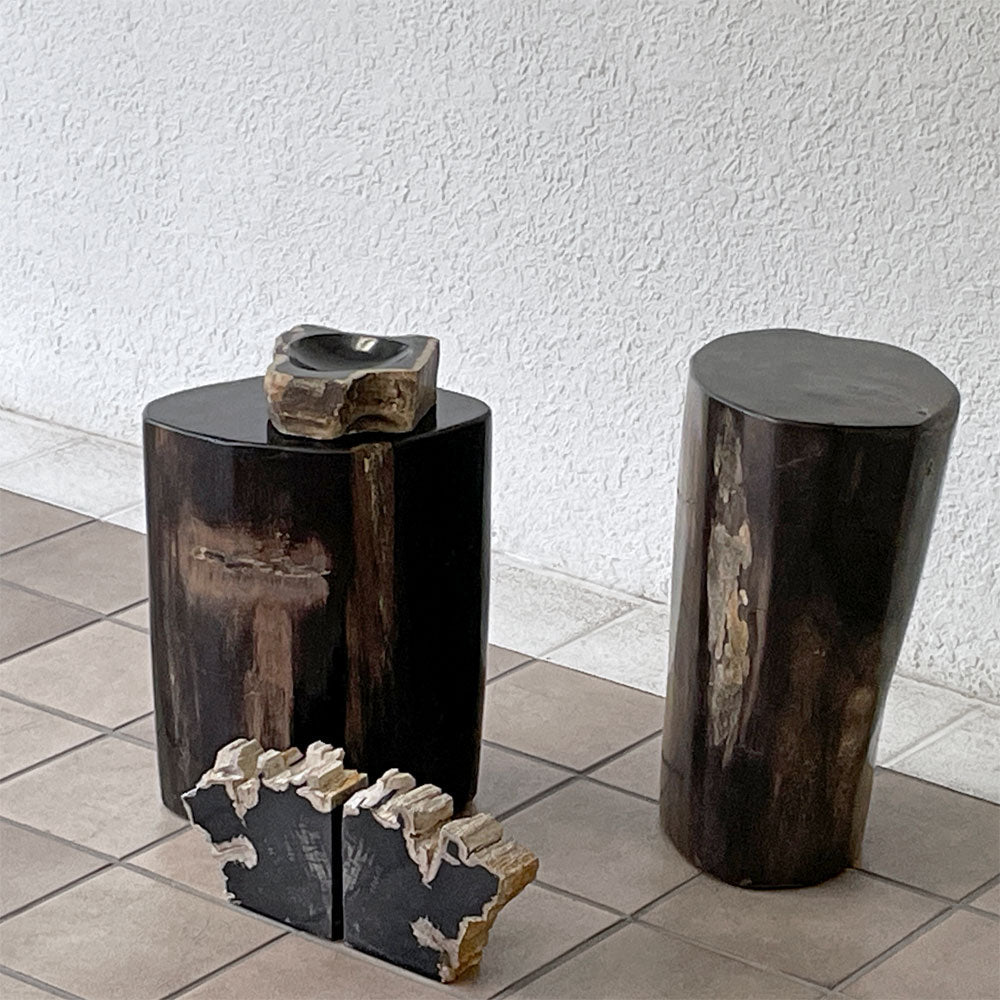 用賀店】オーク ペトリファイド ウッド OAK Petrified Wood 珪化木