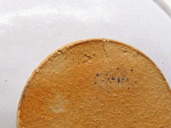 瀬川辰馬 Segawa Tatsuma 錫白釉 脚付き ボウル コンポート Φ16.5cm ホワイト 現代作家 ●