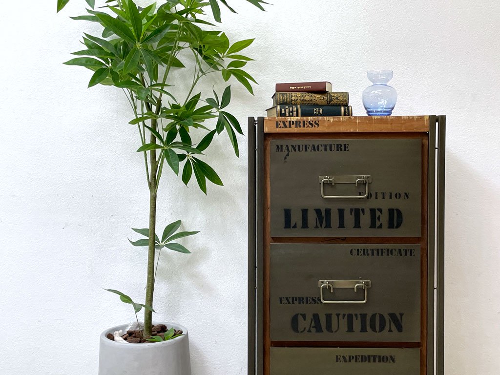 ディーボディ d-Bodhi フェルム インダストリアル FERUM INDUSTRIAL 3ドロワーズ チェスト 整理箪笥 チーク古材 アイアン ASPLUND 参考価格¥92,880- B ●