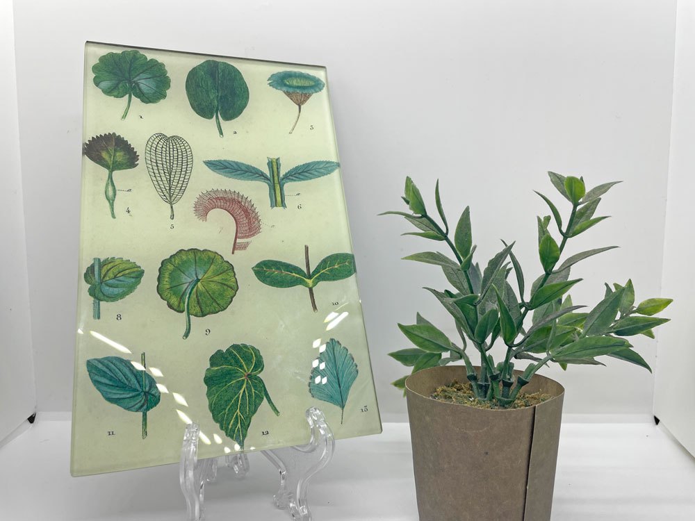 ジョンデリアン JOHN DERIAN デコパージュプレート Feuilles / Leaves 飾り皿 アッシュペーフランス H.P.FRANCE 取扱 ♪
