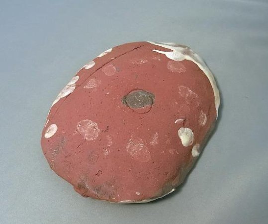 ● 井畑勝江 楕円皿E