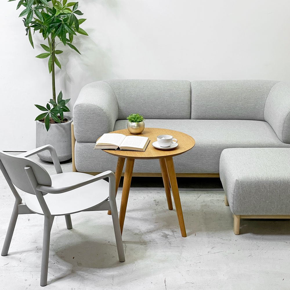 カリモク ニュースタンダード karimoku NEW STANDARD KNS エレファントソファ オットマン Elephant Sofa Ottoman ペールナチュラル クリスチャン・ハース ●