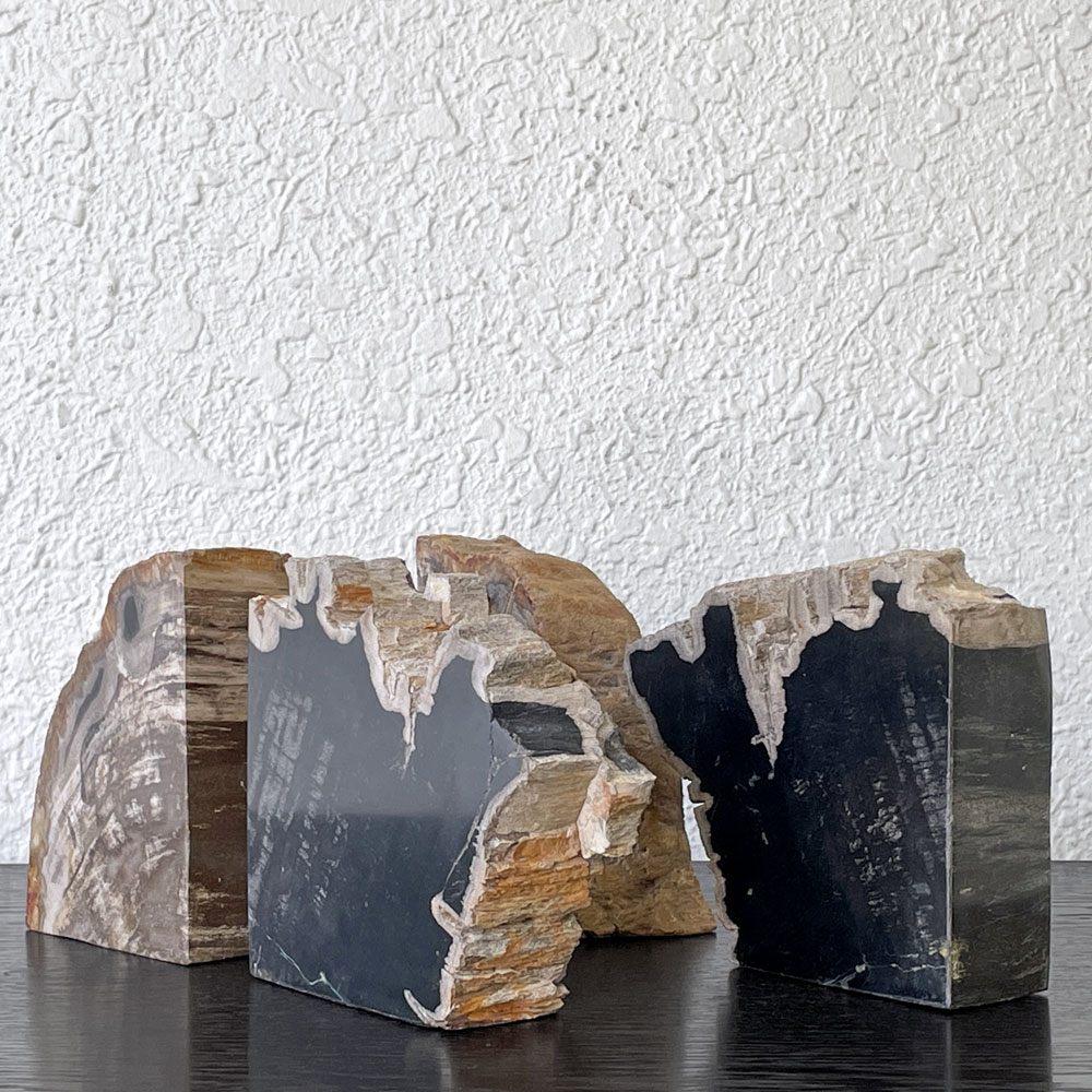 オーク ペトリファイド ウッド OAK Petrified Wood 珪化木 ブックエンド 本立て オブジェ ベージュ系 ウッドストーン 鉱石 ◇