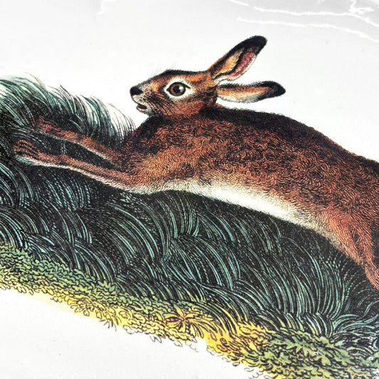 アスティエ・ド・ヴィラット ASTIER de VILLATTE ジョンデリアン JOHN DERIAN ジャンピングラビット Jumping Rabbit プラッター 40.5cm 飾り皿 陶器 フランス 定価¥47,520- ●