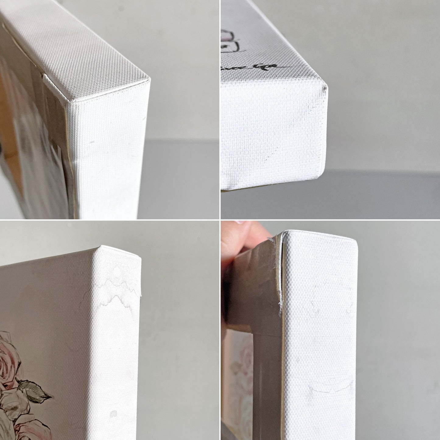 オリバーガル Oliver Gal ローゼスアンドブックス Roses and Books ウォールアート 証明書付き アメリカ ■