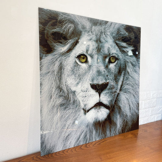 カレ KARE Picture Glass Face Lion 80x80cm 強化ガラス アートフレーム ライオン 写真 壁掛けインテリア ドイツ ◎