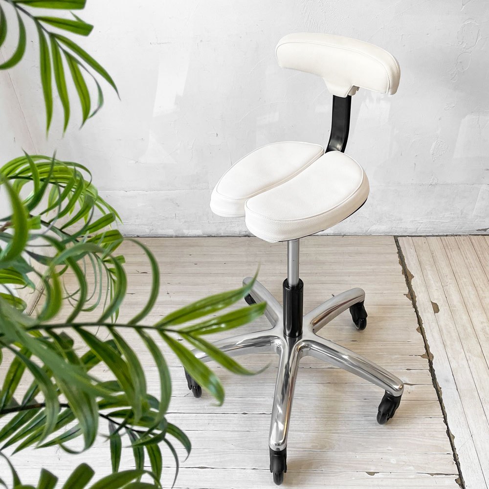アーユルチェアー ayur chair プレミアムモデル 01 High range + ホワイトカバーセット 姿勢矯正 腰痛対策 デスクチェア キャスター2種類付き 取扱説明書付き ★