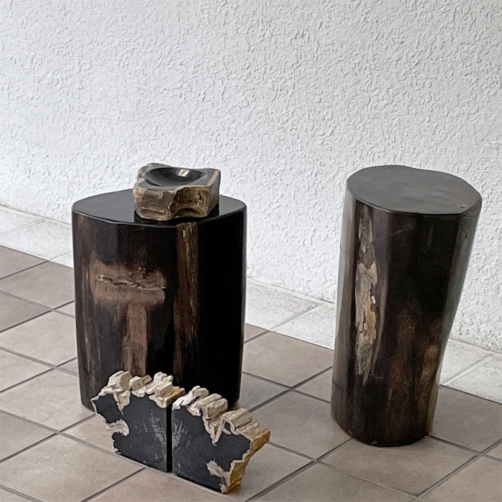 オーク ペトリファイド ウッド OAK Petrified Wood 珪化木 ブックエンド 本立て オブジェ ブラック系 ウッドストーン 鉱石 ◇