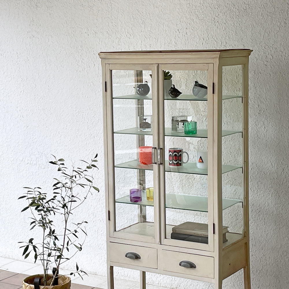 ジャパンビンテージ vintage 木製ケビント ドクターキャビネット 抽斗2杯 キュリオケース 飾り棚 ホワイトペイント ～お気に入りのスモールアイテムを飾る医療系家具～