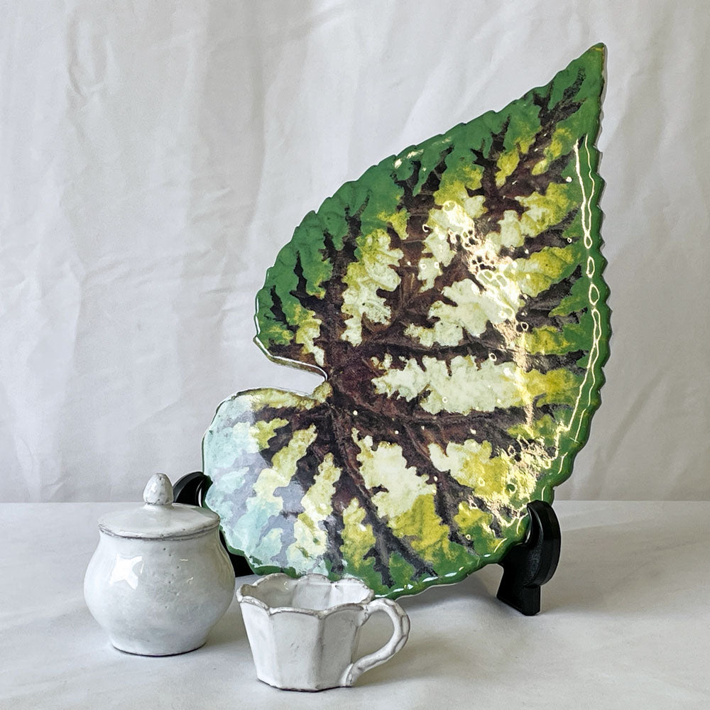  【用賀店】アスティエ・ド・ヴィラット Astier de Villatte フィエット FILLETTE シュガーポット H7cm＆ジョン・デリアン John Derian トロピカルリーフ リーフプラッター 買取させていただきました。