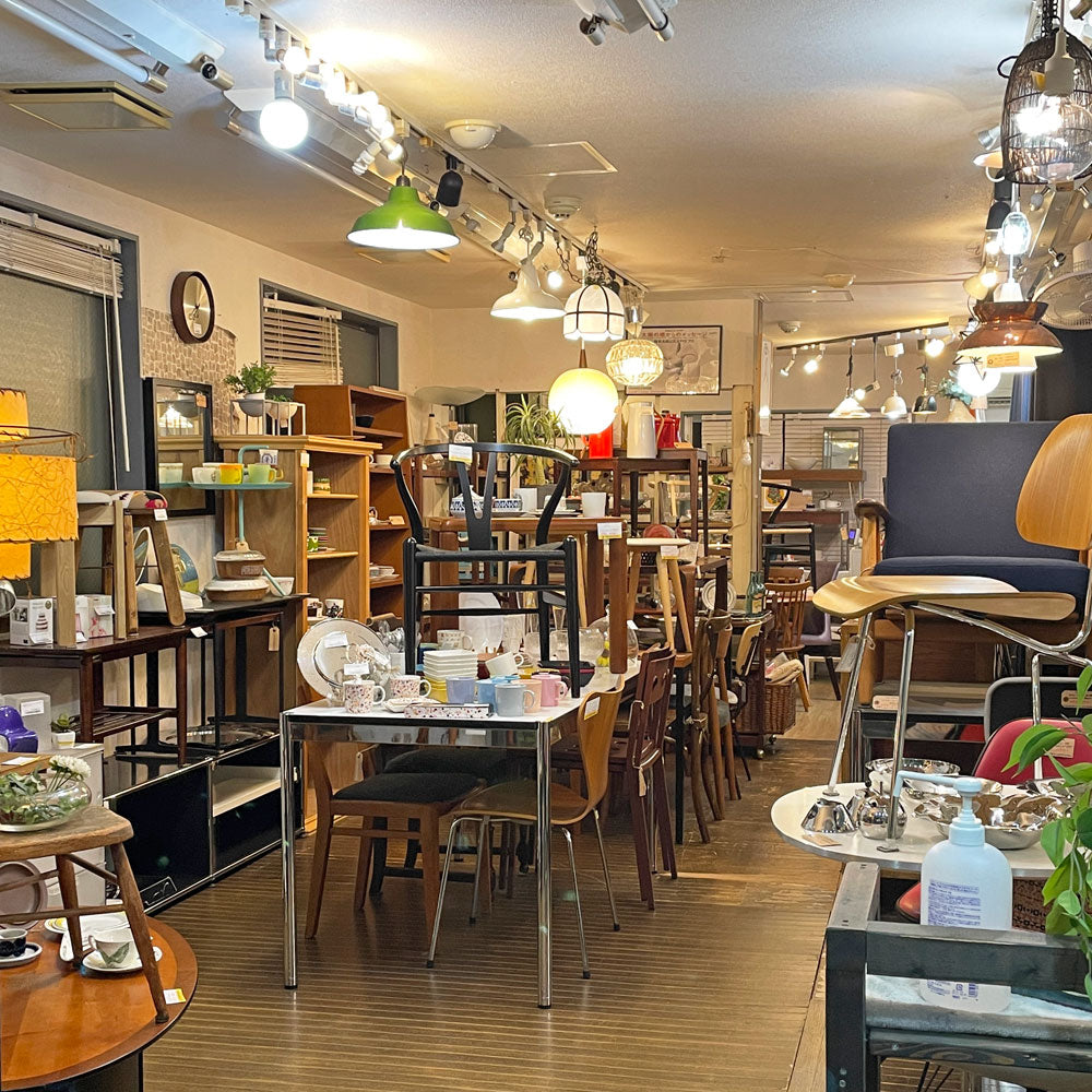 経堂店 今月の店内紹介 ～ 最近の経堂、何かがちがう。。。