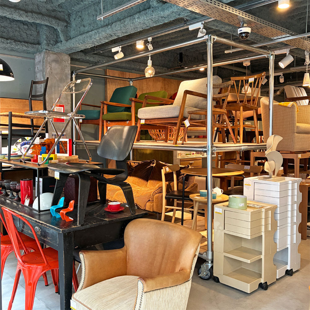 経堂店 今月の店内紹介 ～ 続 RENEWAL OPEN ～