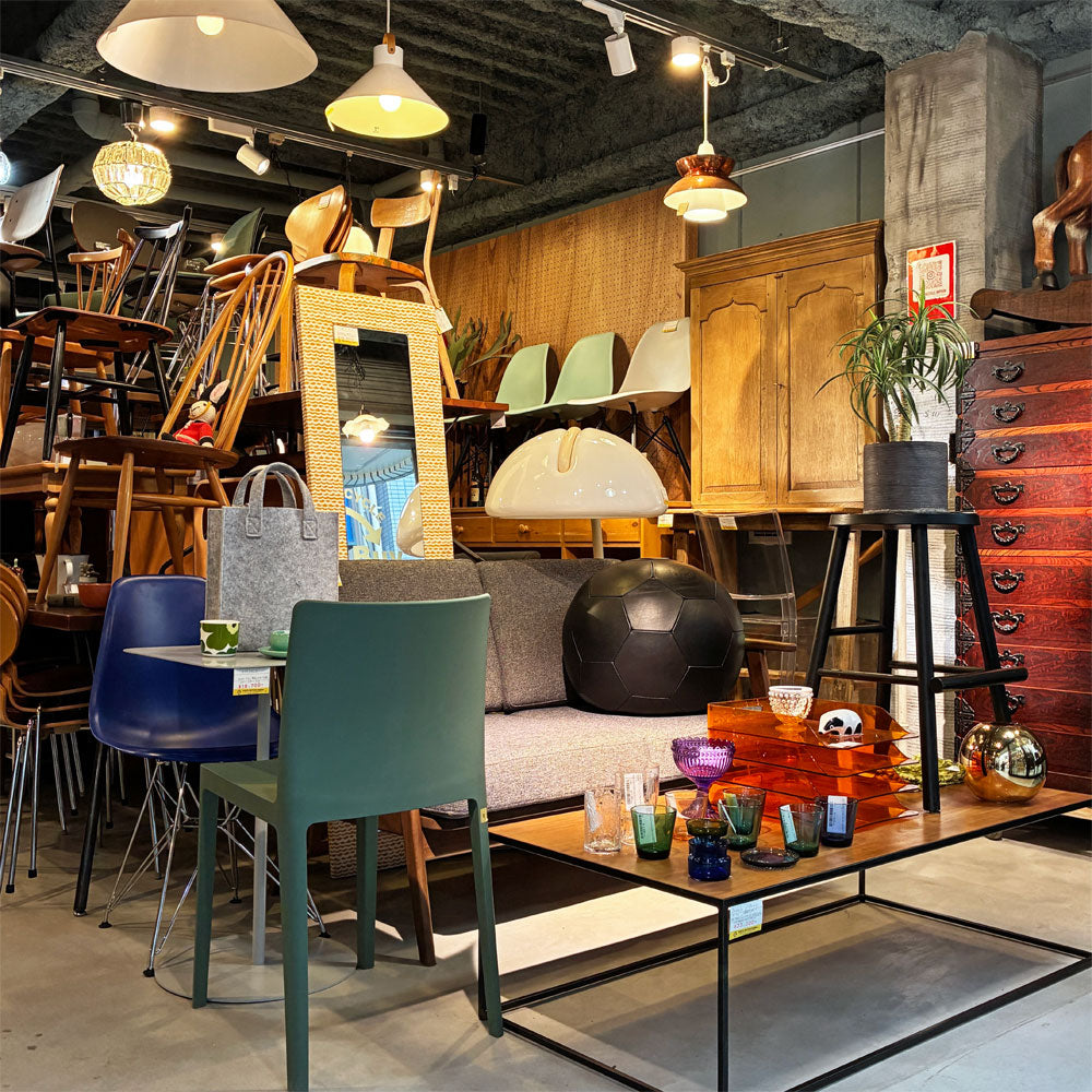 経堂店 今月の店内紹介 ～RENEWAL OPEN～