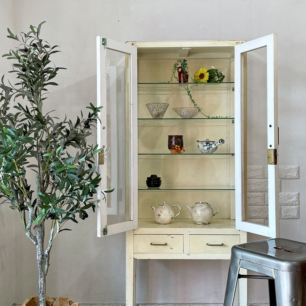 ジャパンビンテージ Japan Vintage ドクターキャビネット ケビント シャビーシック 医療棚 薬品棚 ディスプレイケース ラック 飾り棚 ホワイトペイント ～ 陽だまりが似合う、シャビーなキャビネット ～