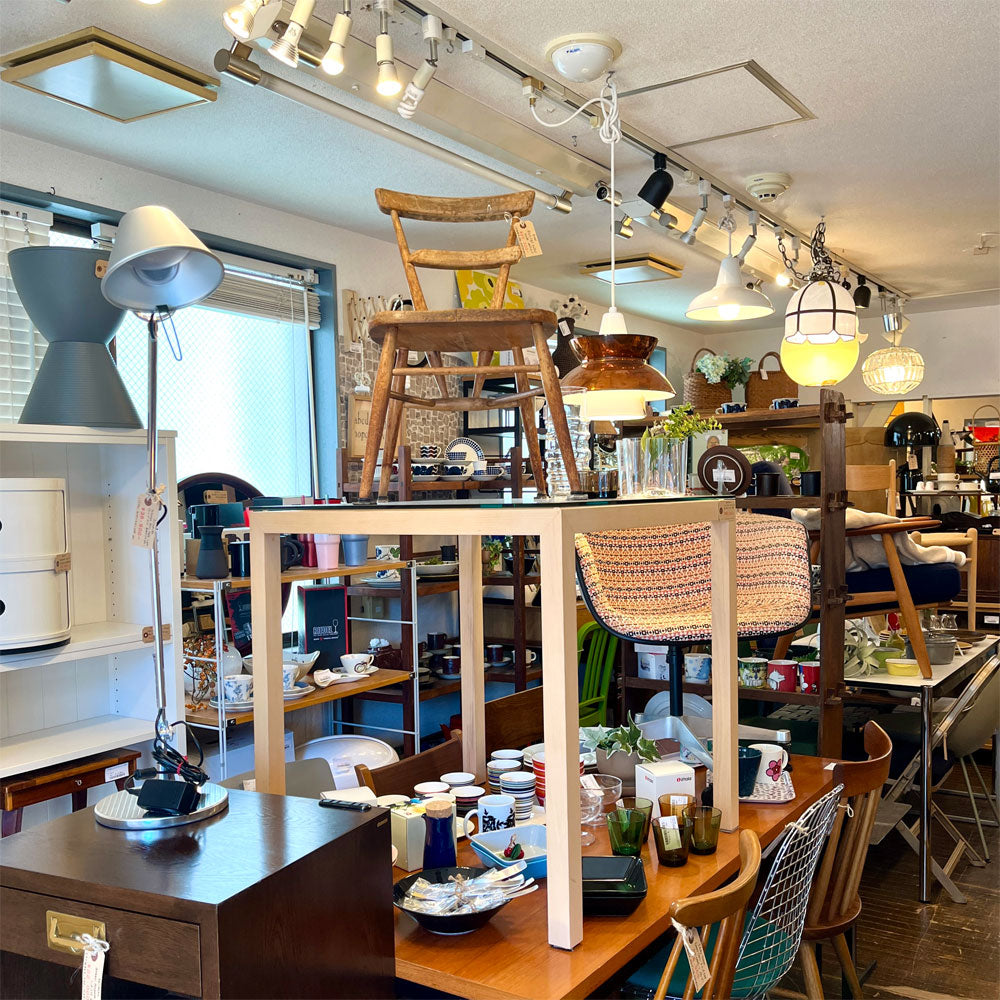 経堂店 今月の店内紹介 ～ ぞくぞくとわくわく