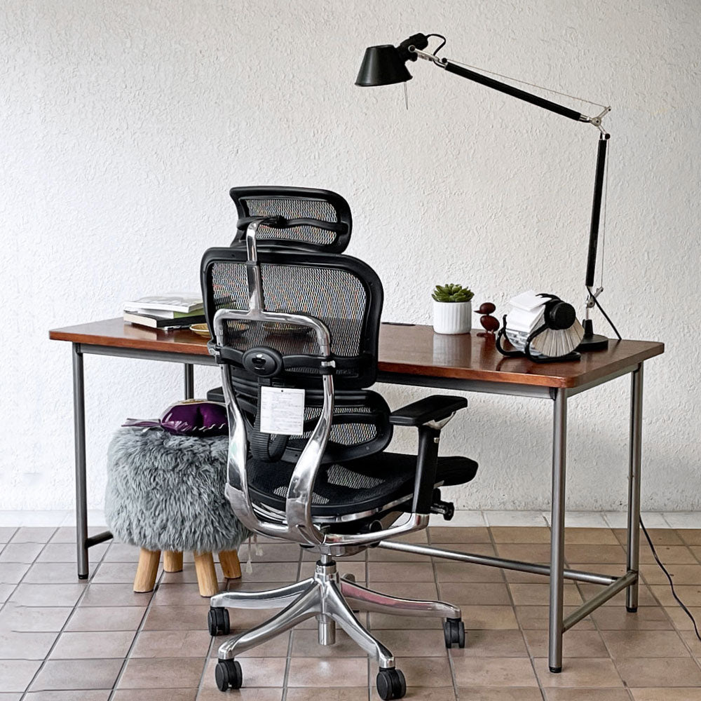 エルゴヒューマン Ergohuman プロ Pro ハイタイプ デスクチェア ワークチェア ブラック メッシュ アルミダイキャスト 多機能 ～デザインが、姿勢を変える。～