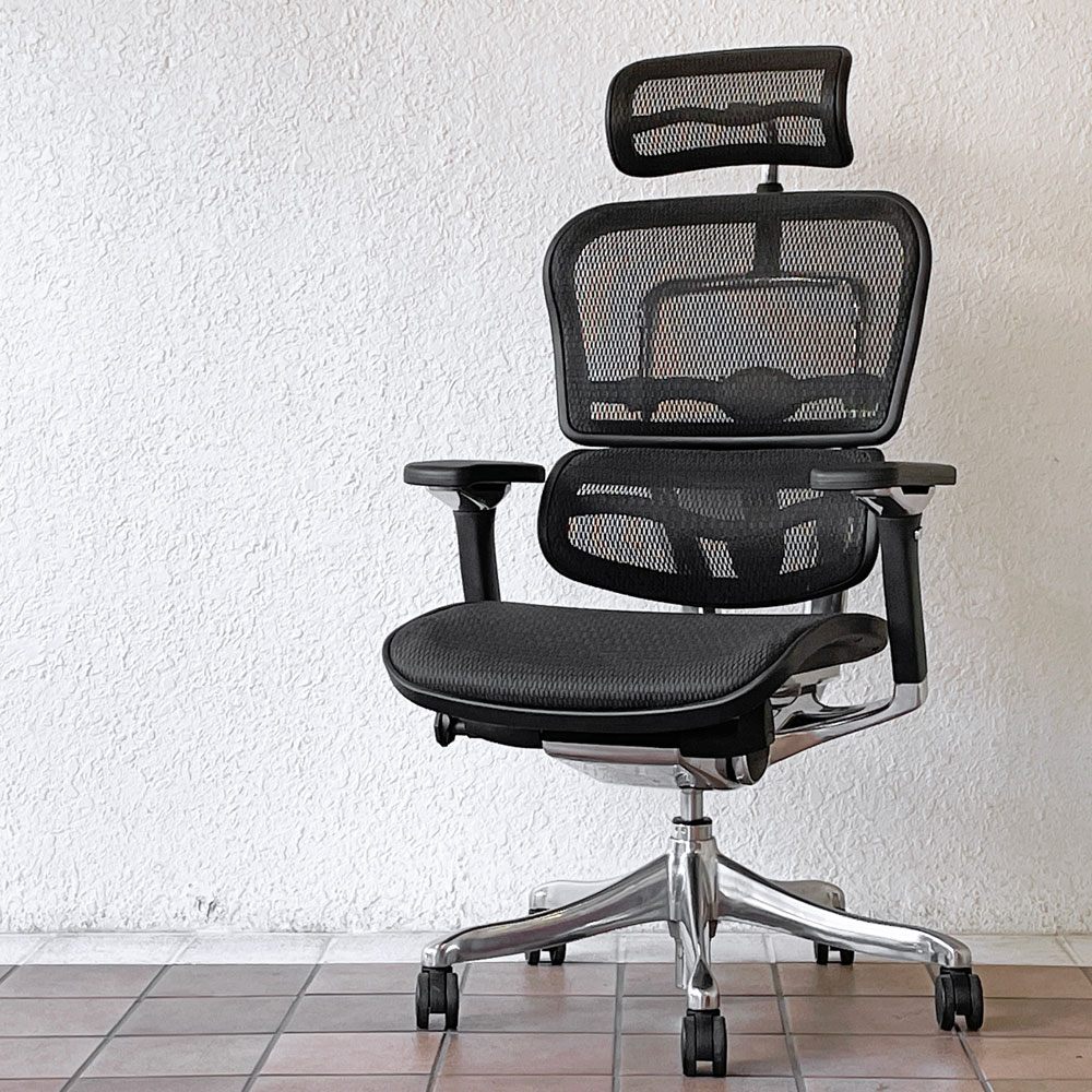 【用賀店】エルゴヒューマン Ergohuman プロ Pro ハイタイプ デスクチェア ワークチェア ブラック メッシュ アルミダイキャスト 多機能 買取させていただきました。