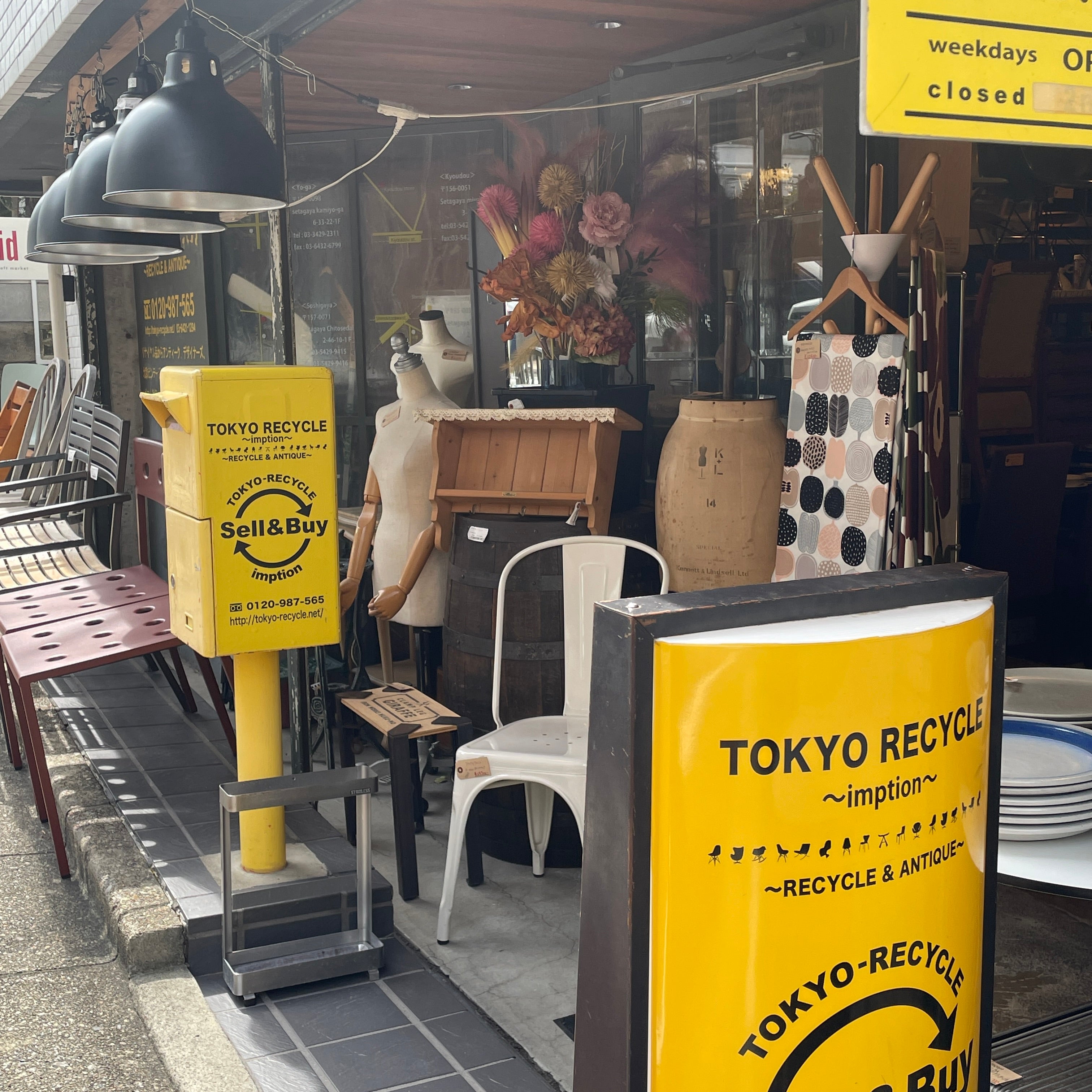 自由が丘店 今月の店内紹介 ～それぞれの世界観を一同に味わえる空間～