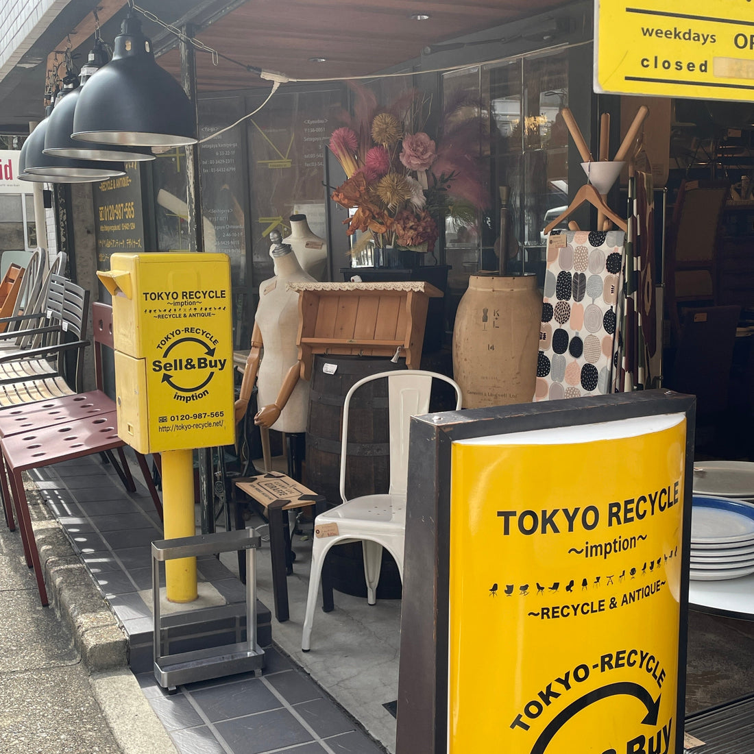 自由が丘店 今月の店内紹介 ～それぞれの世界観を一同に味わえる空間～