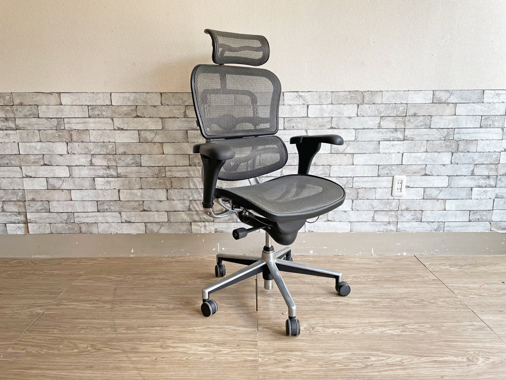 エルゴヒューマン Ergohuman ベーシック Basic デスクチェア グレー系 ハイタイプ フルメッシュ ヘッドレスト付き 中古品  買い取りしました。
