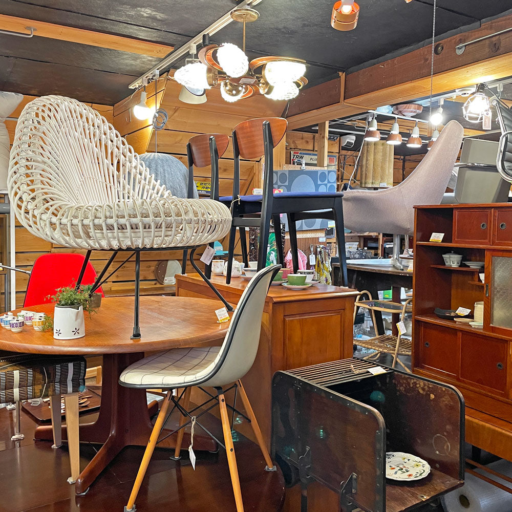 学芸大学店 今月の店内紹介 ～モリモリの秋。～