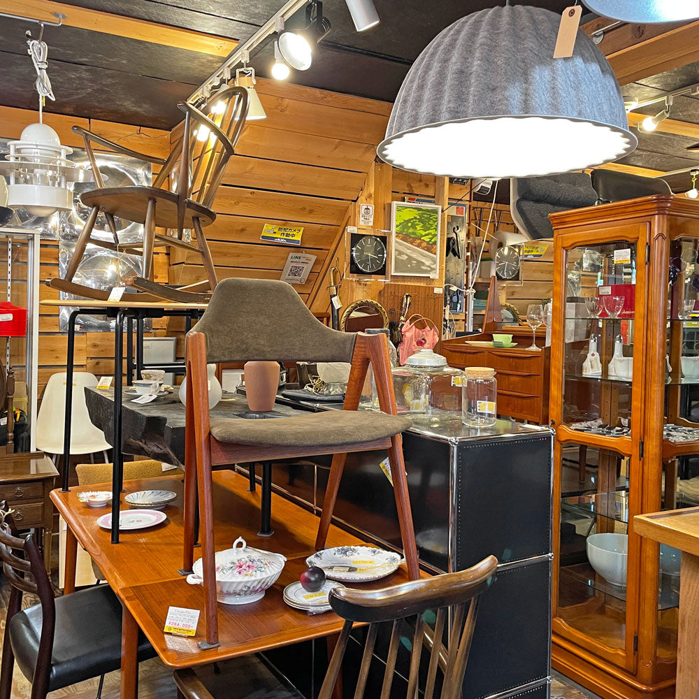 学芸大学店 今月の店内紹介 ～6月の始まりはモリモリの店内！～