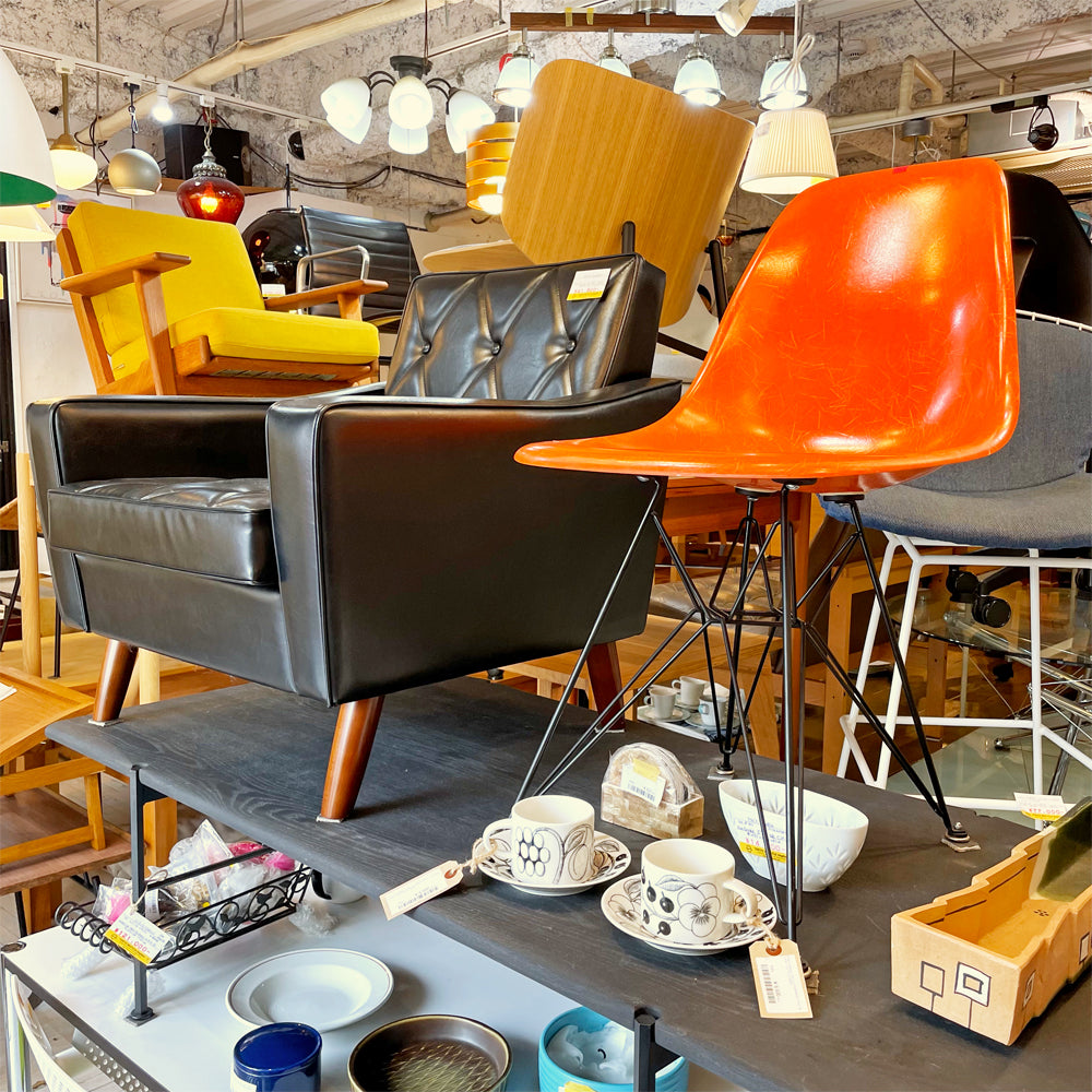 下北沢店 5月の店内紹介～ベストコンディション