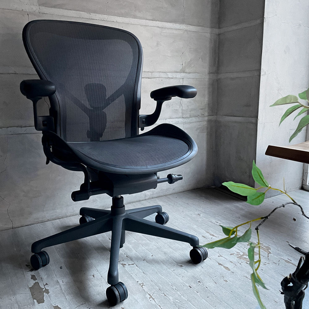 ハーマンミラー Herman Miller アーロンチェア リマスタード フル装備 Cサイズ デスクチェア オフィスチェア グラファイトベース ポスチャーフィットSL ヘッドレスト付き～進化し続けていく～