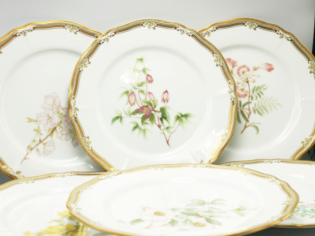 ノリタケ Noritake ガラコンテッサ gala contessa ディナープレート 皿 6枚セット 洋食器 廃番 中古品  買い取りしました。
