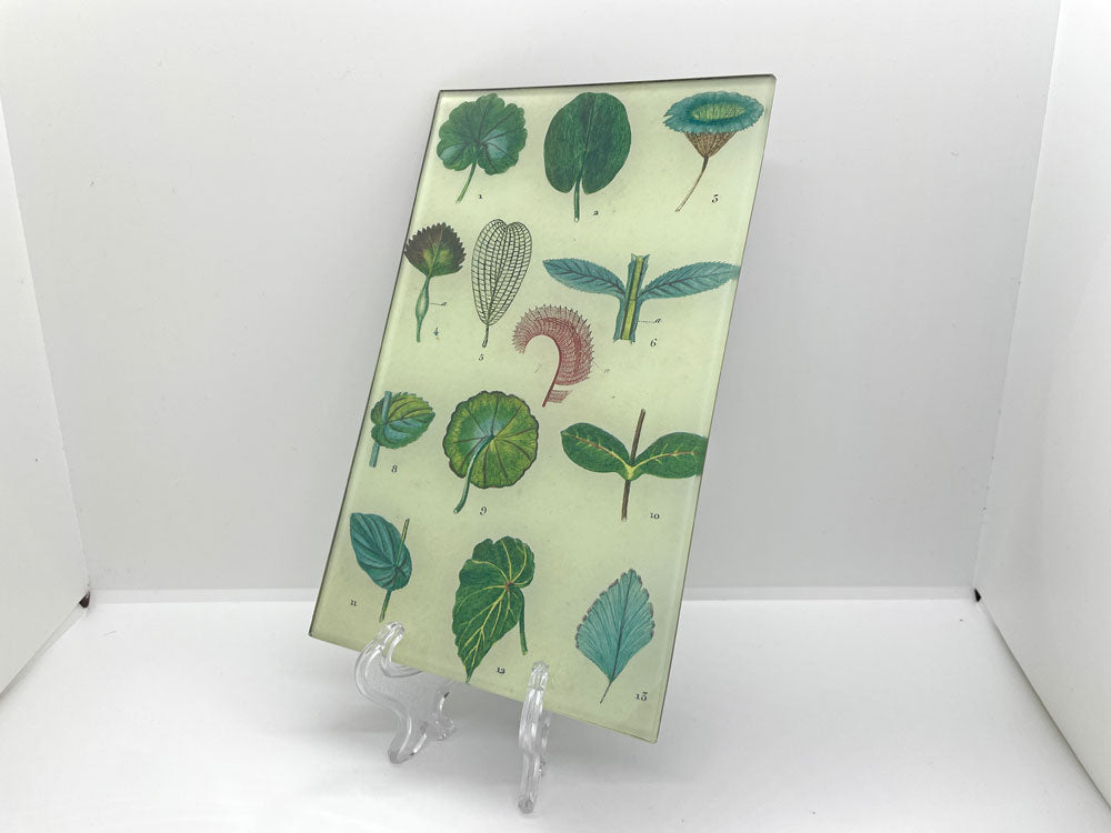 ジョンデリアン JOHN DERIAN デコパージュプレート Feuilles / Leaves 飾り皿 アッシュペーフランス H.P.FRANCE 取扱 デコパージュ 中古品 買い取りしました。