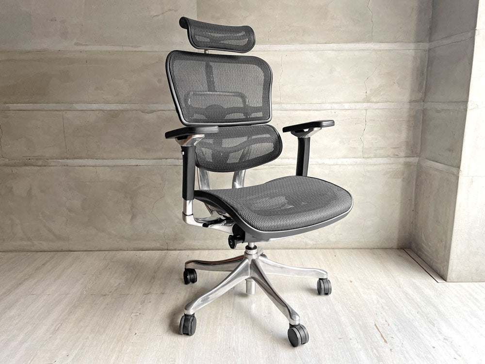 エルゴヒューマン Ergohuman プロ Pro ハイタイプ デスクチェア ワークチェア ヘッドレスト付き メッシュ アルミダイキャスト 定価￥132,000- 中古品 買い取りしました。