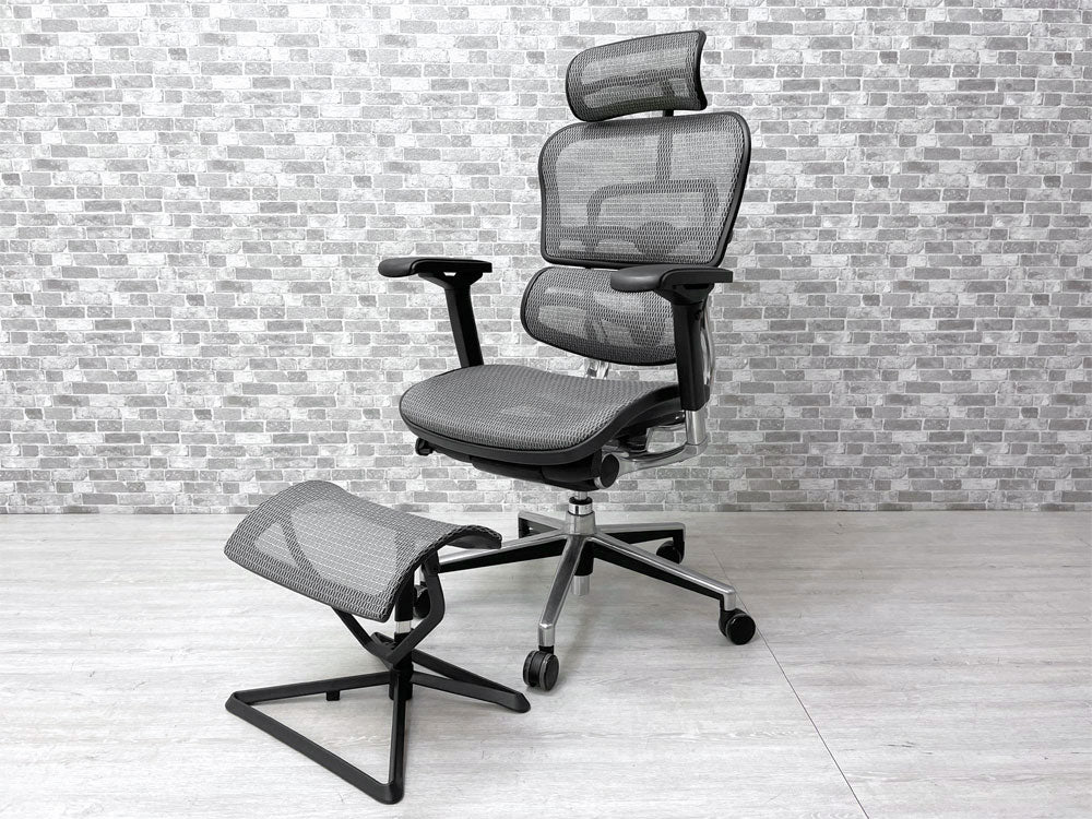 エルゴヒューマン Ergohuman ベーシック Basic デスクチェア ハイタイプ フルメッシュ ヘッドレスト オットマン 付き 買い取りしました。