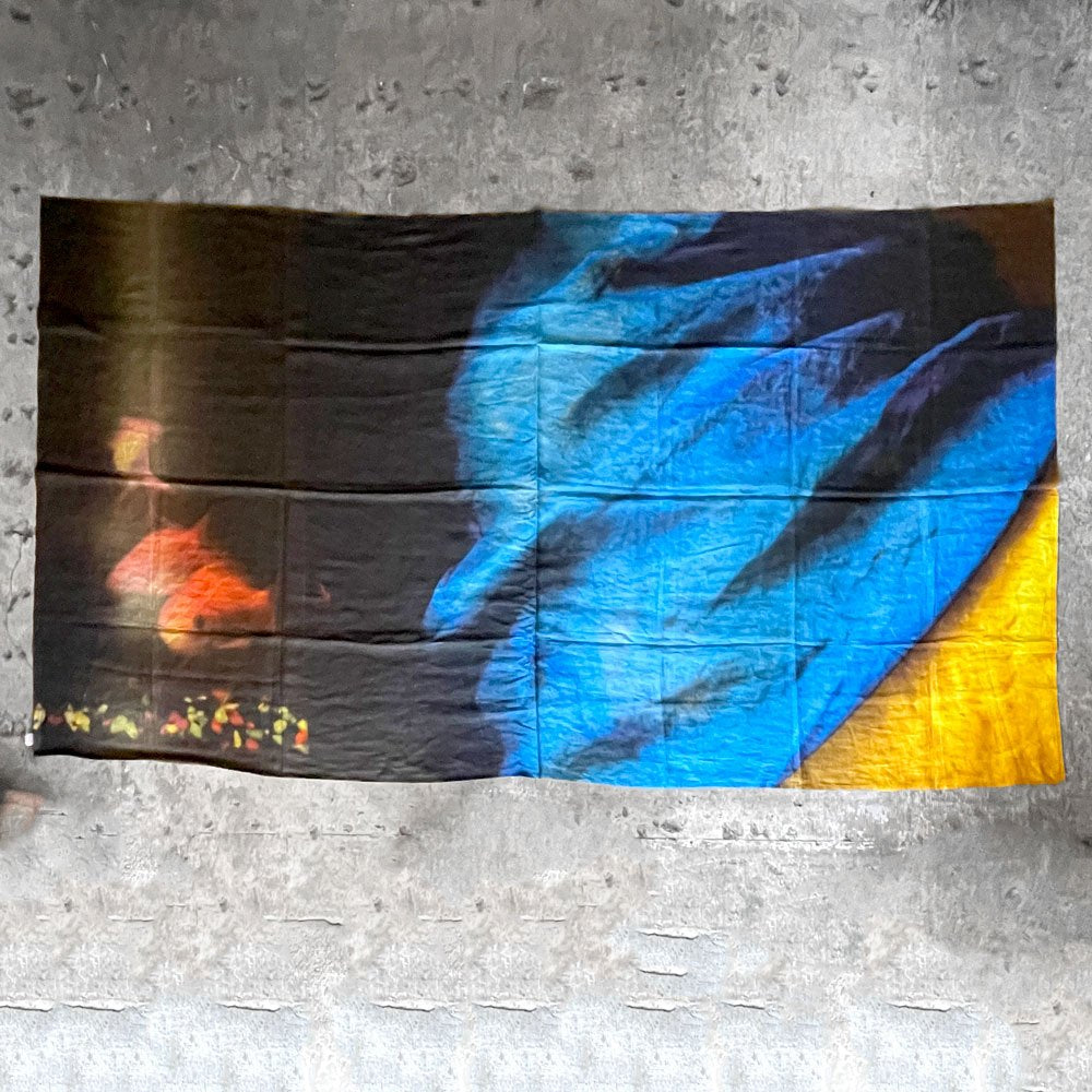 【自由が丘店】コロンバレッディ colomba leddi 好奇心の小部屋 マルチカバー ファブリック 生地 243×137cm H.P.DECO取扱買取させていただきました。