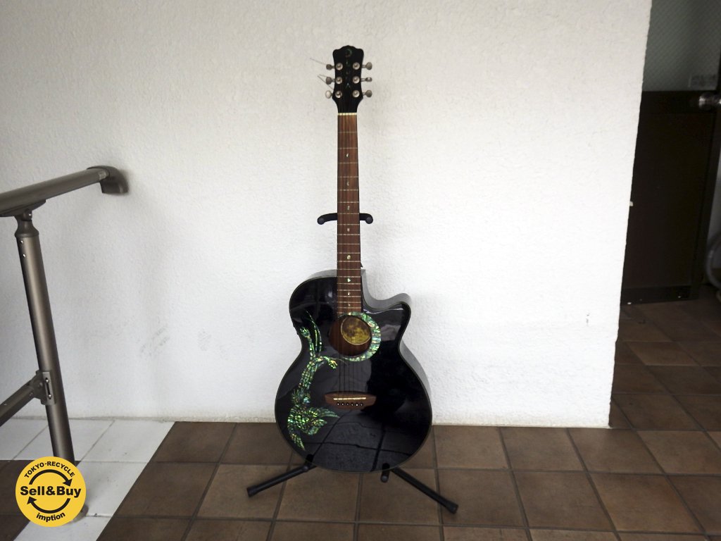 Luna FAU KOI Mahogany エレクトリック アコースティック ギター フェニックス  エレアコ 日本未発売 ◇