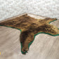 クマ 熊 敷物 ラグマット 剥製 カーペット 毛皮 261 x 248cm 爪付き ●