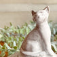 アスティエ・ド・ヴィラット ASTIER de VILLATTE クーベルチュール 猫 グラスキャンドル用 ♪