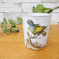 アスティエ・ド・ヴィラット ASTIER de VILLATTE ジョン・デリアン JOHN DERIAN オウム parrot カップ ●