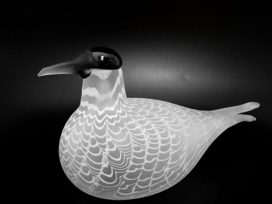 イッタラ iittala イッタラバード Species of Tern 406/3000 オイバ・トイッカ Oiva Toikka 1988-92 ●