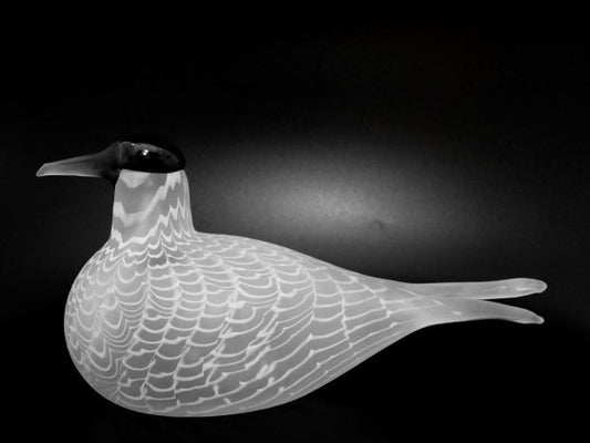 イッタラ iittala イッタラバード Species of Tern 406/3000 オイバ・トイッカ Oiva Toikka 1988-92 ●