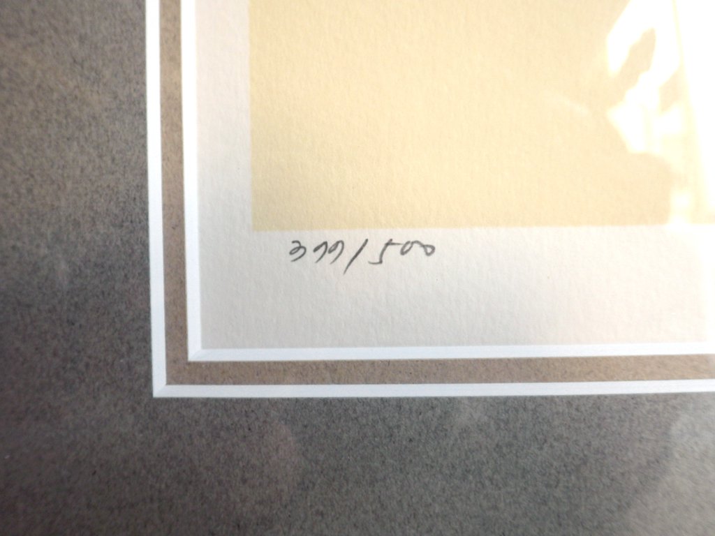 天野喜孝 リトグラフ 冷刃 ファイナルファンタジー FF8 スコール ・ レオンハート シリアルナンバー 直筆サイン入り アールビバン保証書 箱付き♪