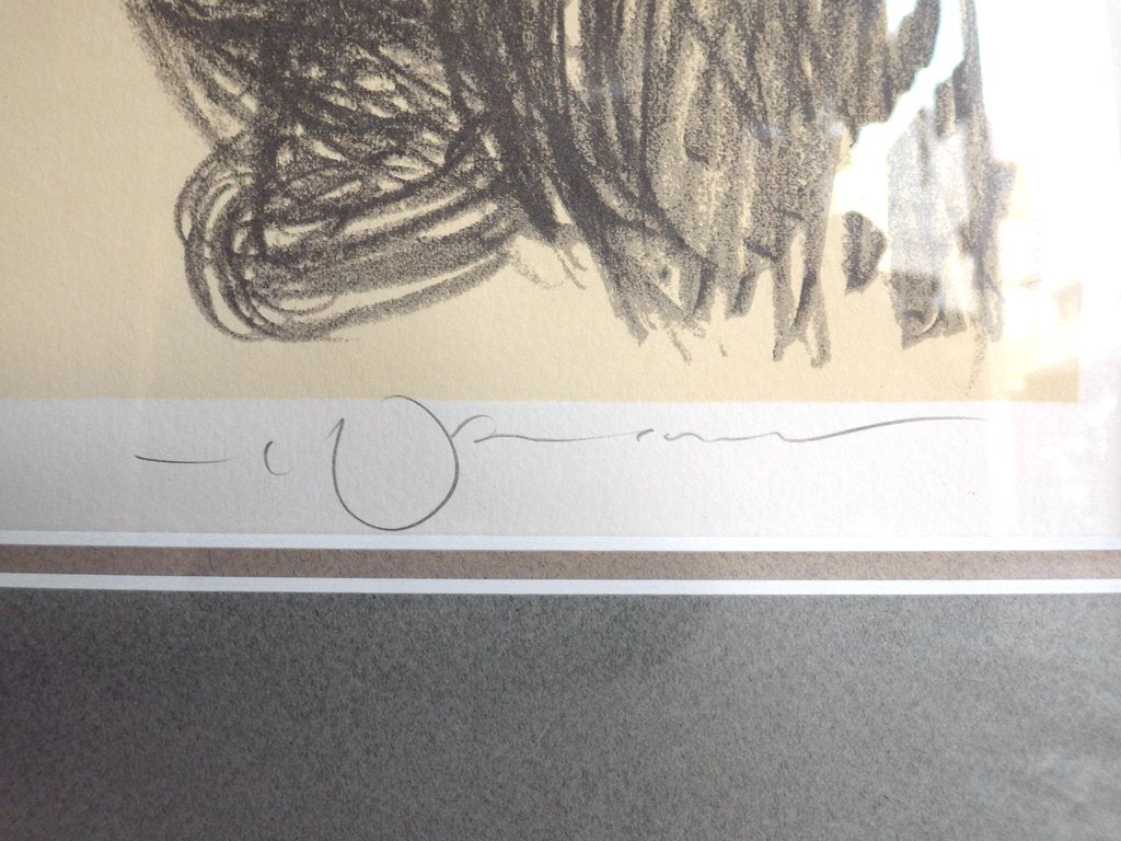 天野喜孝 リトグラフ 冷刃 ファイナルファンタジー FF8 スコール ・ レオンハート シリアルナンバー 直筆サイン入り アールビバン保証書 箱付き♪