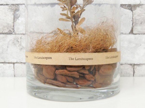 ザ・ランドスケーパーズ The Landscrapers ドライシリンダー DRY CYLINDER プベッセンス ドライフラワー H25cm 元箱付 J.S.F取扱い ●