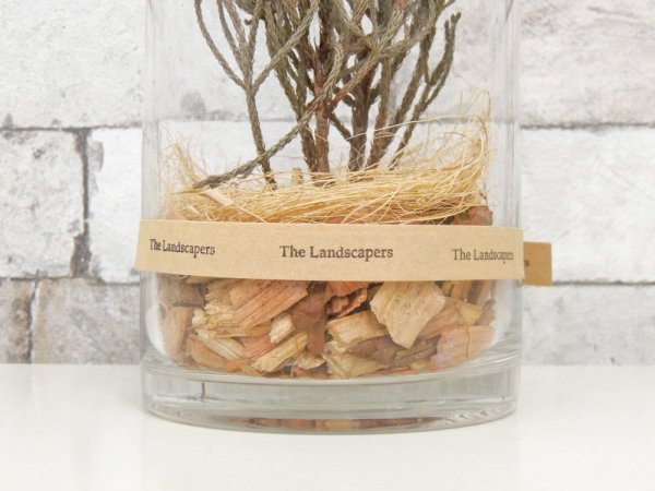 ザ・ランドスケーパーズ The Landscrapers ドライシリンダー DRY CYLINDER ネベリア ドライフラワー H20cm 元箱付 J.S.F取扱い ●