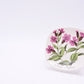 アラビア ARABIA ボタニカ Botanica ウォールプレート 飾り皿 レッドキャンピオン silene dioica エステリ・トムラ 北欧雑貨 ●
