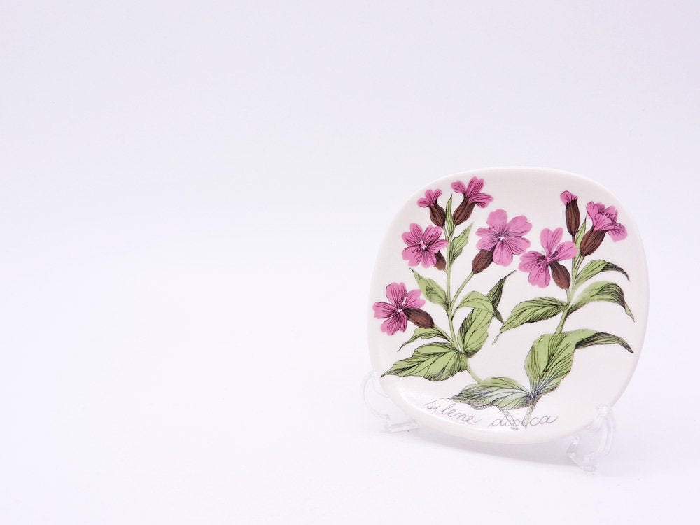 アラビア ARABIA ボタニカ Botanica ウォールプレート 飾り皿 レッドキャンピオン silene dioica エステリ・トムラ 北欧雑貨 ●