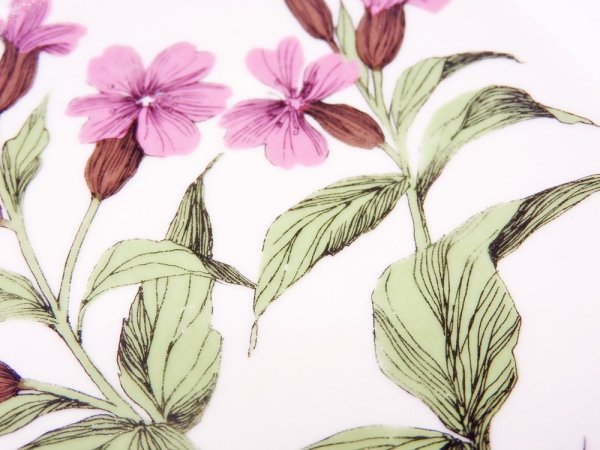 アラビア ARABIA ボタニカ Botanica ウォールプレート 飾り皿 レッドキャンピオン silene dioica エステリ・トムラ 北欧雑貨 ●