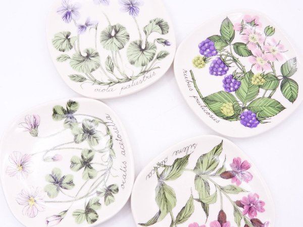 アラビア ARABIA ボタニカ Botanica ウォールプレート 飾り皿 レッドキャンピオン silene dioica エステリ・トムラ 北欧雑貨 ●