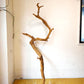 流木 ドリフトウッド Driftwood ネイチャーアート 長さ160ｃｍ ART オブジェ ★