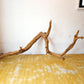 流木 ドリフトウッド Driftwood ネイチャーアート 長さ160ｃｍ ART オブジェ ★