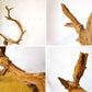 流木 ドリフトウッド Driftwood ネイチャーアート 長さ160ｃｍ ART オブジェ ★